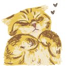 난니꼬양 이미지