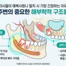 지뢰밭골(2) 네이버블로그