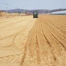 대지농산 이미지