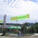 대락도 Daum카페
