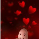 깨구리반찬 이미지