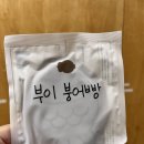 스위트 하우스 | 여수 언니 올까 갔던 성수 29cm 스위트하우스 팝업 후기