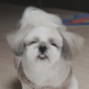 디자인모에 이미지