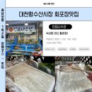 석화어린이집 | 대천항수산시장 45호 신요나수산 광어회 갑오징어회 포장 대만족 후기 가성비 좋은 보령횟집 추천