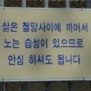(주)스토리인 이미지