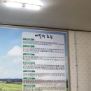 안섬메밀막국수
