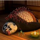 바를정한방병원 이미지