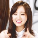 얼룩 소와 누렁소가 이미지