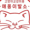 애옹이발소 이미지