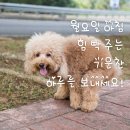 월 이미지