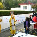 문장초등학교 이미지