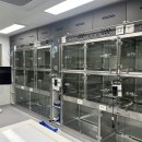 수동물병원 이미지