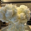 2276 | 서울 호텔 딸기뷔페 추천 JW 메리어트 동대문 내돈내산 후기