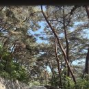 전통한옥펜션연안제B | 안면도 자연휴양림 한옥 3호 1박 후기 : 장단점 솔직 리뷰 및 조개산 등산