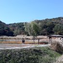 자연마당 이미지