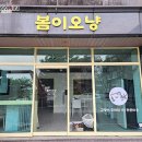 봄이오냥 이미지