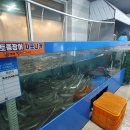 팔팔풍천민물장어 - 충주시 호암대로 112 | 팔팔풍천민물장어