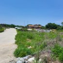 성본3리 이미지