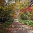 운장산자연휴양림 이미지