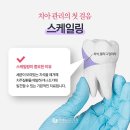 연세치과기공소 이미지