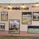 in K DOG 이미지