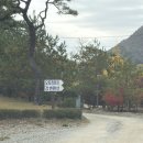 미산가족오토캠핑장 | 문경 미산가족오토캠핑장 차박