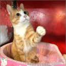 아이조아요양호텔 이미지