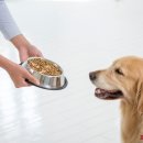 국립생태원동물병원 이미지