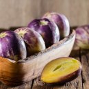 페피노멜론-Pepino Melon-나무멜론 이미지