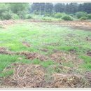 소망건강원 이미지