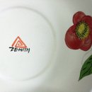 제니스치과기공소 Daum카페