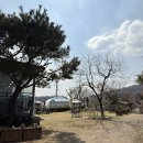 농부의마당맛집 이미지