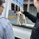 (주)대왕레미콘 | 2026년 1분기