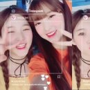 꽁냥꽁냥 이미지