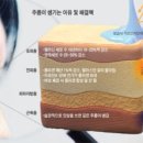 자글자글 이미지