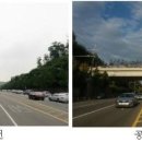 양재대로 이미지