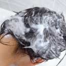 잎순코스메틱 | 민감성두피샴푸 건조한 내 두피에도 만족스러운 오월의아침 콜레세라 샴푸