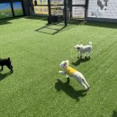 개편한 스쿨 이미지