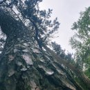 거북산 등산로 입구 이미지