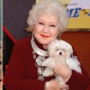 토이스토리 이미지