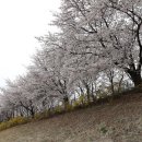 송정둑길 이미지