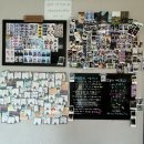 송당 온도 | 제주 동쪽 게스트하우스 송당온도 분위기 및 아침 스냅 후기