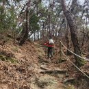 곡성-198 이미지