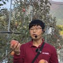 분지농장 | 11월 밀양여행지 추천 레드애플팜 별별얼음골사과 따기 체험 &amp; 밀양 얼음골 케이블카