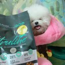 (주)바이큰 이미지