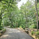 새마을로2길 이미지