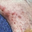 위너스동물병원 이미지