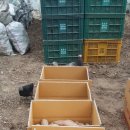 선우농장 이미지