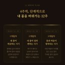 올비 | 보니바이오 쌍화차, 올비움, 귤피동과차 내돈내산 후기