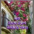 @ 어머니를 그리며ᆢ -엄마꽃 - 노래 안성훈 이미지